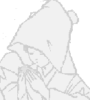 嫁入り