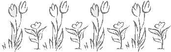 胡麻の花