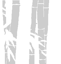 竹