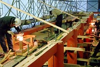 デリケートな作業3