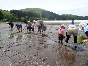 ばんだい米親子田植え体験ツアー３