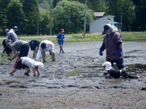 ばんだい米親子田植え体験ツアー５