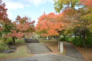 1105紅葉1
