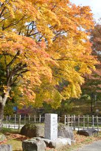 1107紅葉1