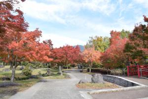 1107紅葉4