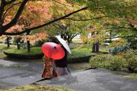 紅葉3