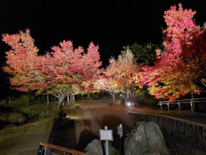 紅葉・２