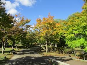 庭園
