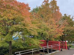 紅葉・１