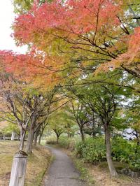 紅葉・２