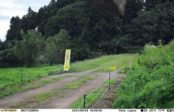 電気柵ゲート（本寺）