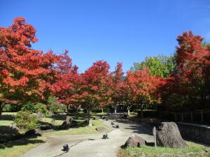 紅葉・１