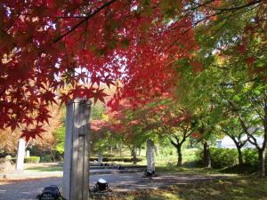 紅葉・２