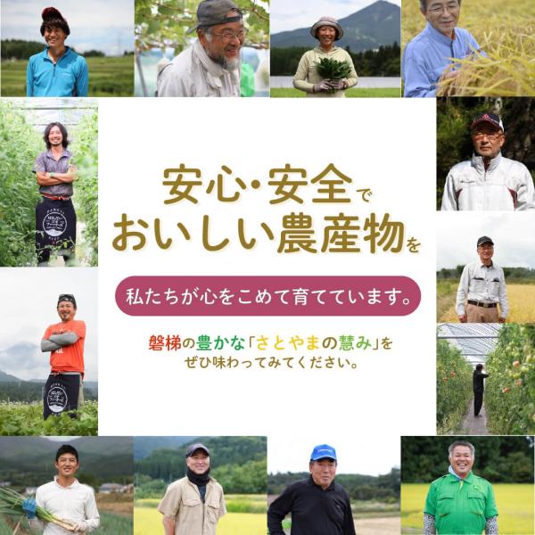 案内チラシ