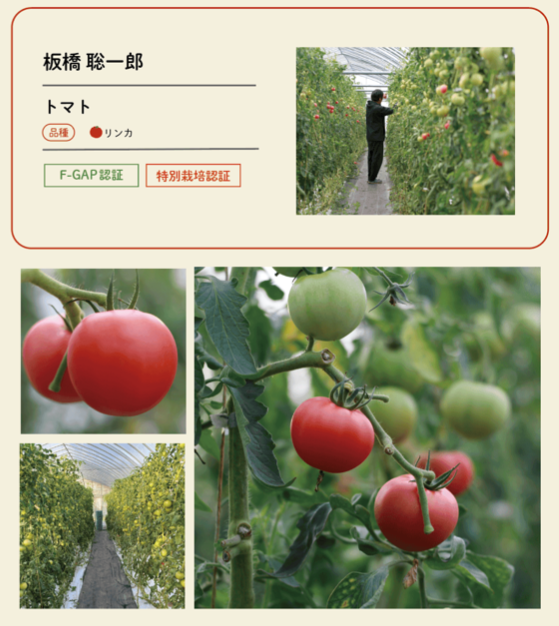 生産者2