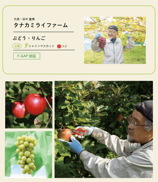 生産者7