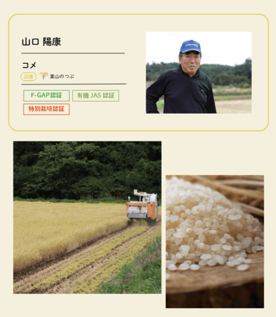 生産者11