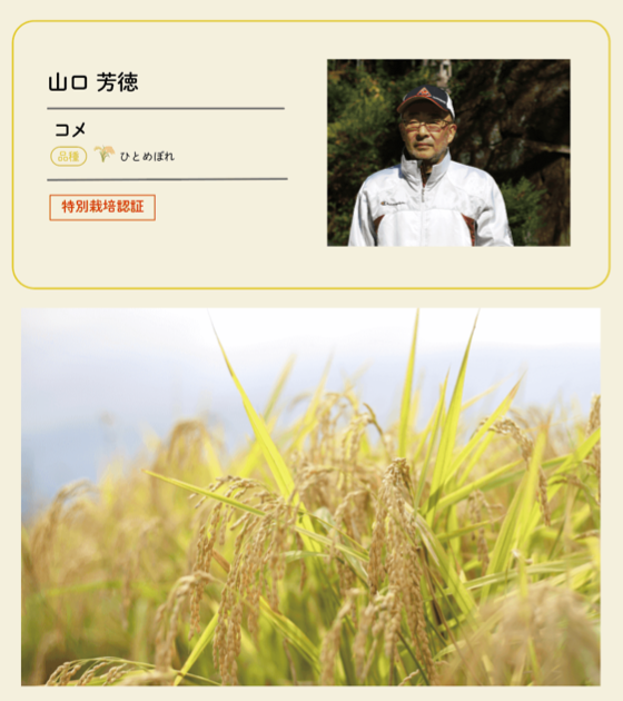 生産者12