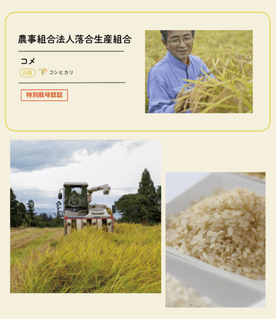 生産者13