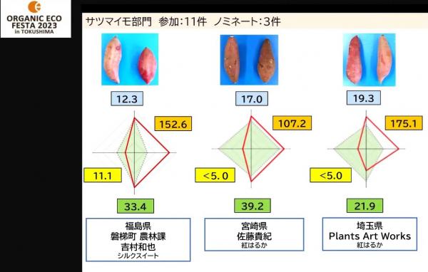 サツマイモ1