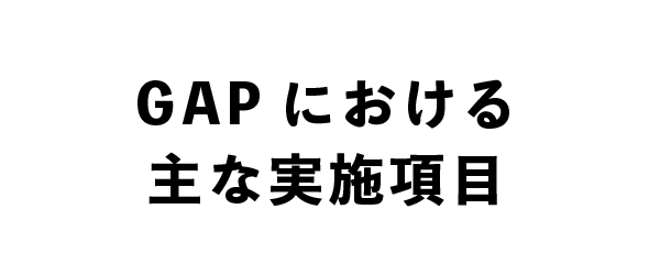 タイトルGAP