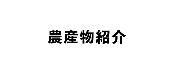 タイトル６