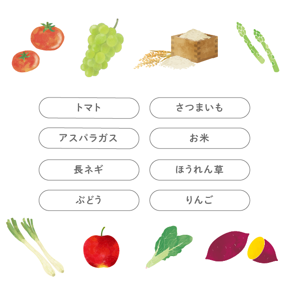 農産物紹介