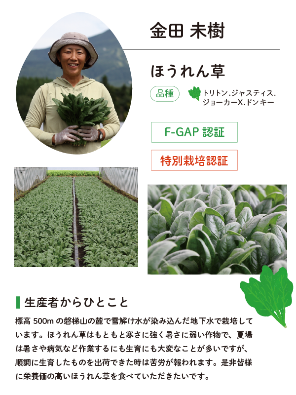 金田みき