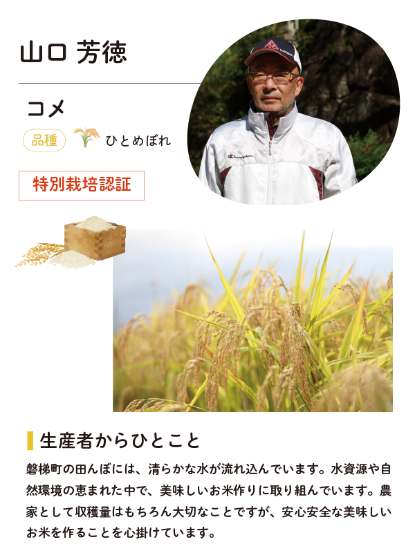 山口芳徳