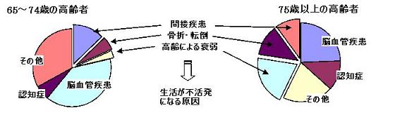 高齢者の方が要介護状態になる原因を解説した円グラフ