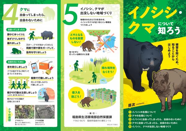 クマイノシシについて知ろう1